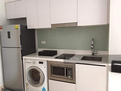 Eight Riversuites (D12), Condominium #156401992